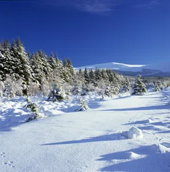 The Wicklow Mountains in Winter